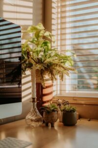 resized_249185